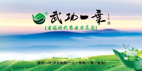 江西凤凰热点爆料新闻最新,最新爆料揭示惊人真相！  第2张